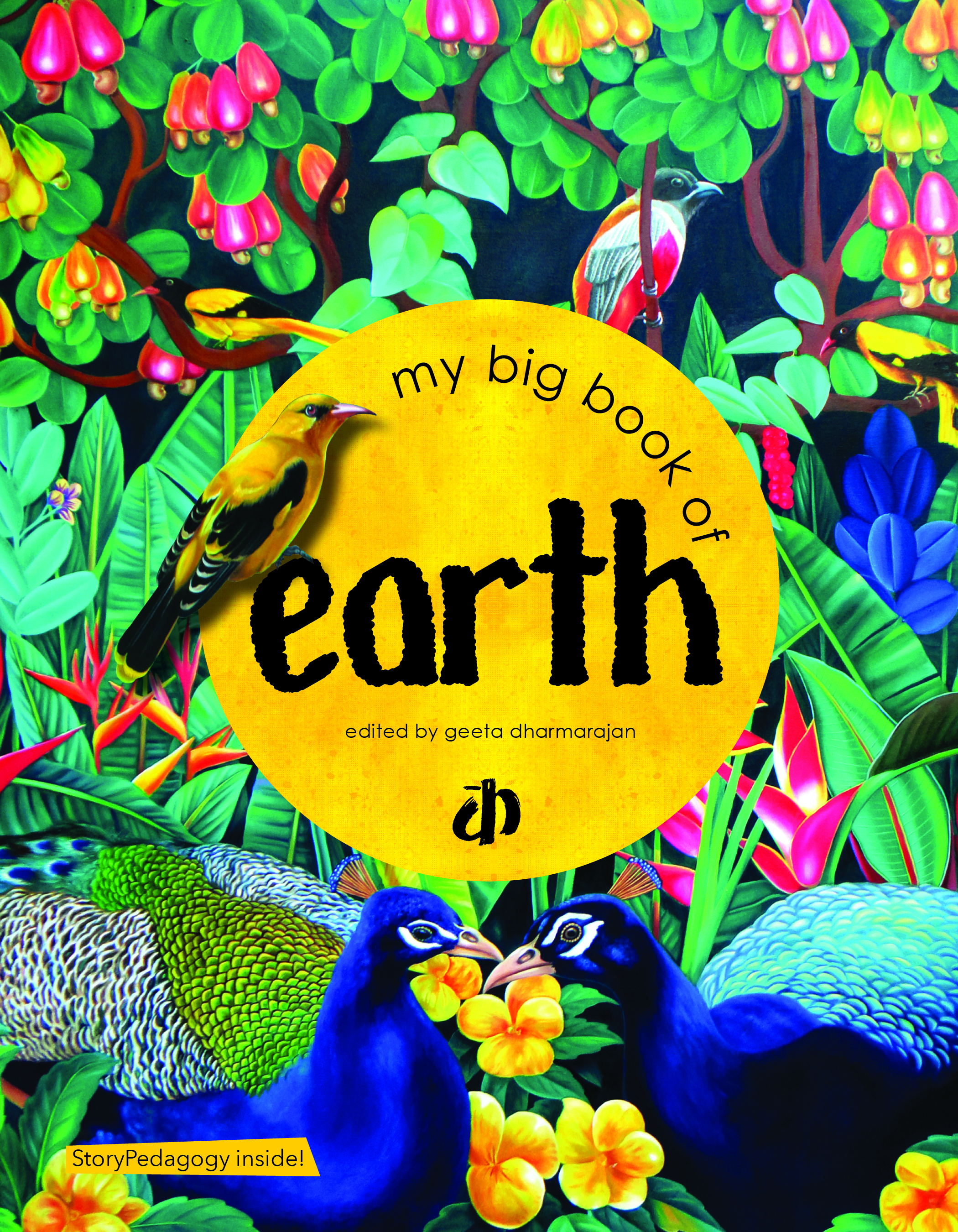 Coste C3 B1a - My Big Book of Earth â€“ Katha Books